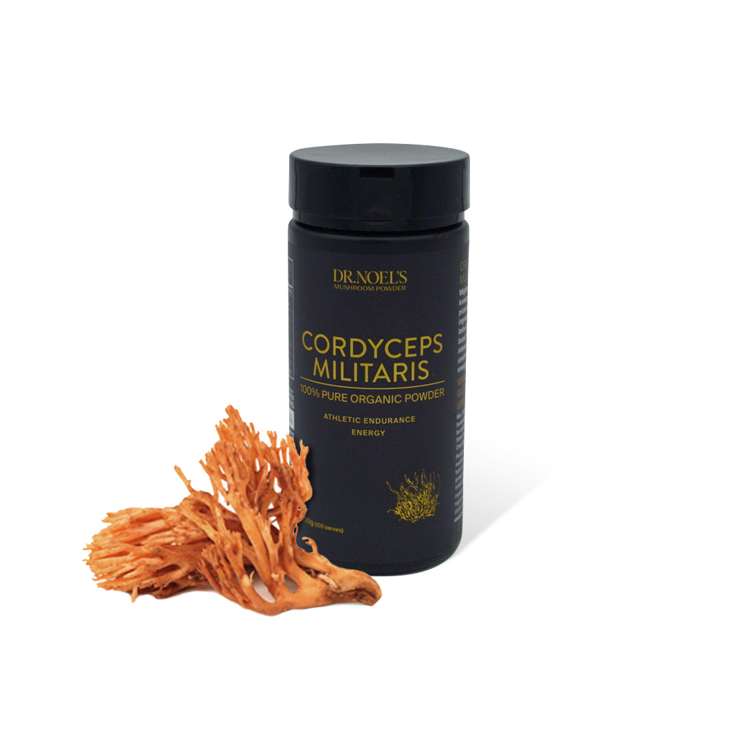 Concentrated Cordyceps Powder