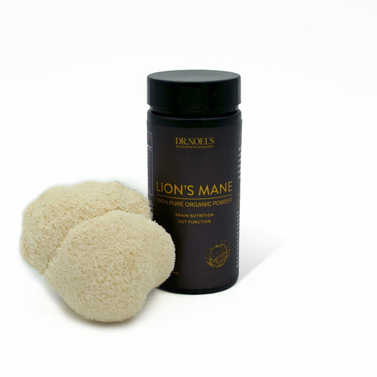 Concentrated Lion's Mane Powder