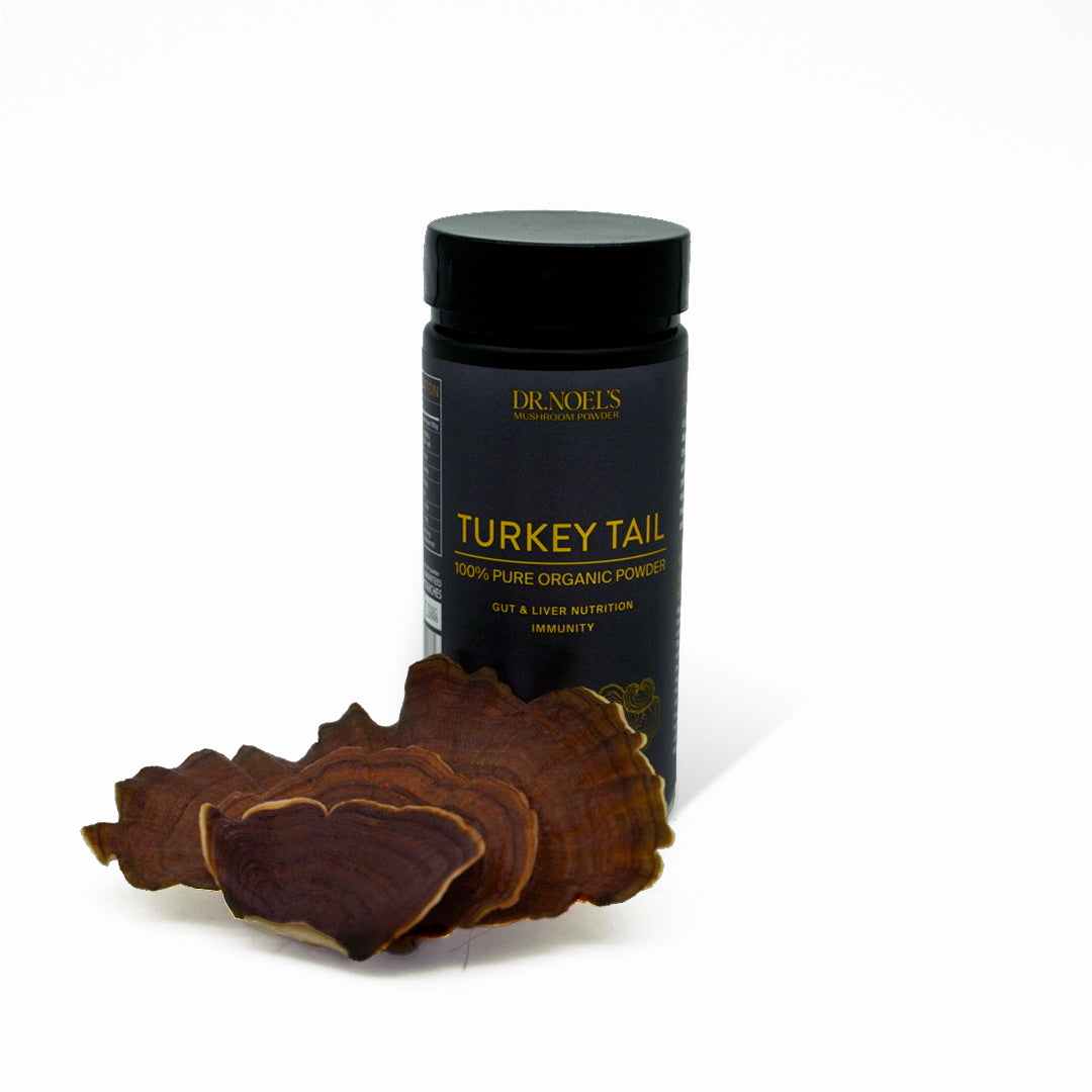 Concentrated Turkey Tail Powder